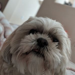 Prices are negotiable! Shoot me an offer!!